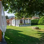 Vasiliadi *