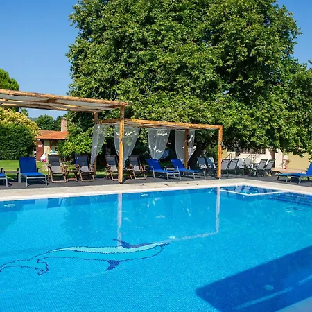 Vasiliadi فوروفورو