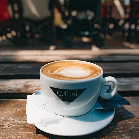 Vasiliadi Vourvourou